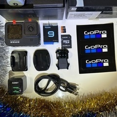 《Vlogで旅を10倍楽しむ》GoProHERO9本体