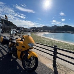 《BMW》 K1200Rsportの画像