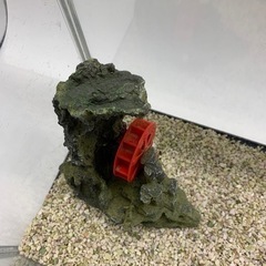 水槽一式セットの画像