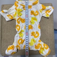 ペット服の画像