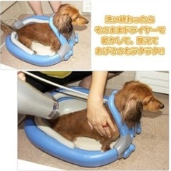 未使用　愛犬らくらくシャンプー　定価2万弱の画像