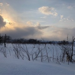 排雪ダンプドライバー‼️の画像