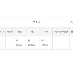 仕切り付き✨ランチバック✨新品未使用✨の画像