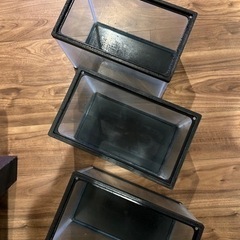 30㎝水槽 熱帯魚 水草 稚魚 アピストなどにの画像