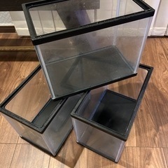 30㎝水槽 熱帯魚 水草 稚魚 アピストなどにの画像