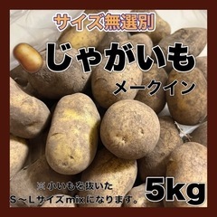  完売 ありがとう御座いました！ じゃがいも メークイン 5kg...