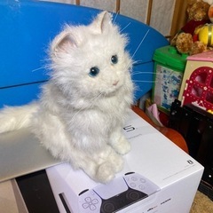 猫のおもちゃの画像