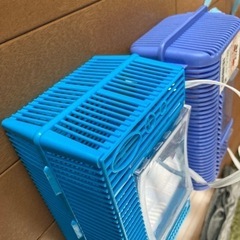 虫かご　２個セットの画像