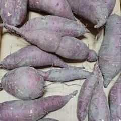 紅はるか　4キロ　5セット限定