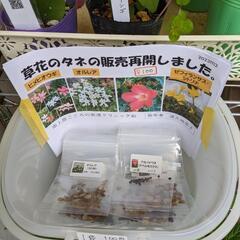 草花のタネ   他にも追加しました。