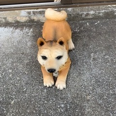 リアルでかわいい犬の置物♪　柴犬　しば犬　の画像