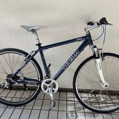 ルイガノtr1 2009 ジャンク