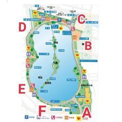 🦆20日1名募集🦆大濠公園ナイトウォーク&トーク