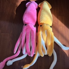 ダイオウイカ3