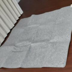 (美品:一回しか使ってません)日立ホットカーペット2畳用の画像