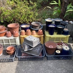 【大量！】植木鉢譲ります