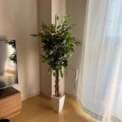 観葉植物　フェイクグリーン　光触媒　消臭　ガジュマル