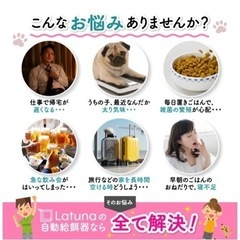 【値下げ】ペット　petlibro 自動給餌器の画像