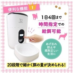 【値下げ】ペット　petlibro 自動給餌器の画像