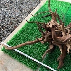 流木3  XL〜Sサイズ22本   ADA アクアリウム 水草水槽 ブラックウッドの画像