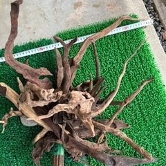 流木3  XL〜Sサイズ22本   ADA アクアリウム 水草水槽 ブラックウッドの画像