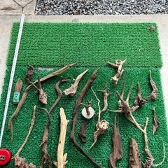 流木3  XL〜Sサイズ22本   ADA アクアリウム 水草水槽 ブラックウッドの画像