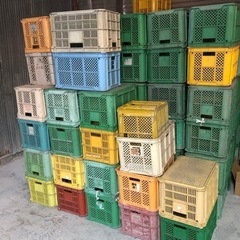 家庭用菜園の収穫用、収納に便利なコンテナ、サンテナ