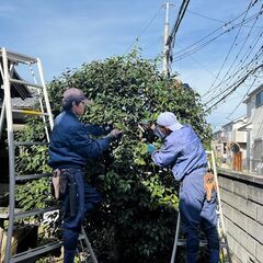 ただいまアルバイト求人は休止中です。　《造園》日払い可★簡単な作...