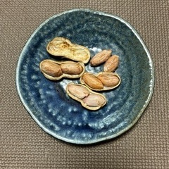 旬の今だけ！生落花生（おおまさり）300g販売します！ - 秋田市
