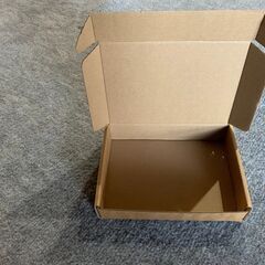 20枚入  エクスプレスボックス、段ボール箱、商業包装、ジュエリ...