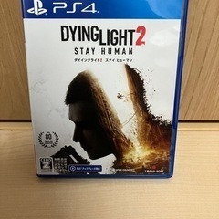 ダイイングライト2