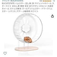 家具 照明器具