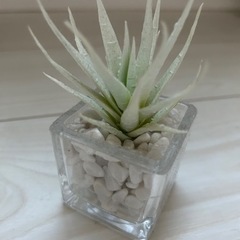 観葉植物風のインテリア