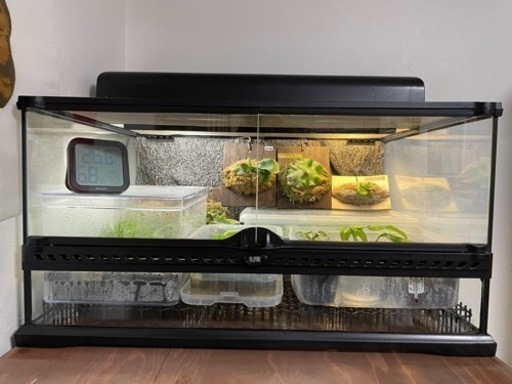 GEX エキゾテラグラステラリウム 爬虫類ケージ フトアゴ（中身は付きません）