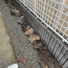 庭石