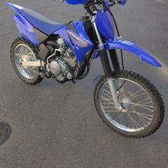 TT-R125LWE  2023モデル