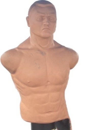 センチュリーボブ！人型サンドバッグ！格闘家の方へ