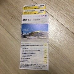 値下げしました！ANA株主優待券2枚➕グループ優待券（有効期限2...