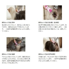ペット バリカン ロゼンスター 水洗い ペット用バリカン 犬猫用の画像