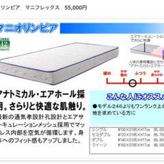 マニフレックスマットレス 1950-985-165