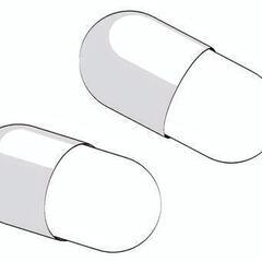 レオピンシリーズ 空カプセルの画像