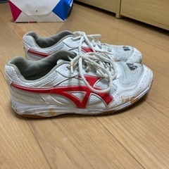 ムーンスタースニーカー24.5あげますの画像