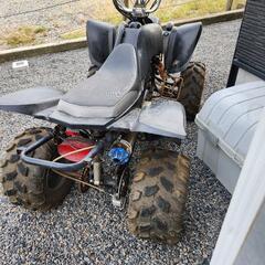 (取引中)中華バギーの画像