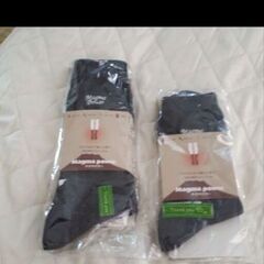 マグマ　パワー　の画像