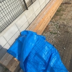 材木　3m