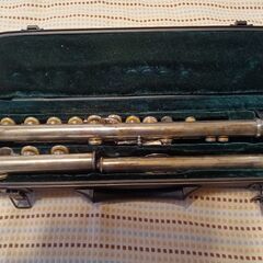 フルート（ドタキャンの為再投稿）の画像