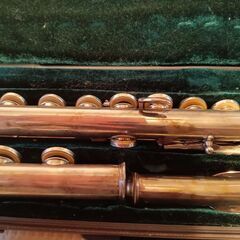 フルート（ドタキャンの為再投稿）の画像