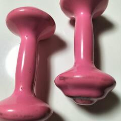 ダンベル　1Kg×2