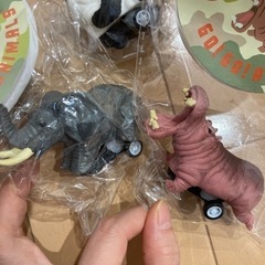 【新品未使用品】リアルな動物の車　チョロQ ゴーゴーアニマルズの画像