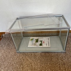 お魚　水槽の画像